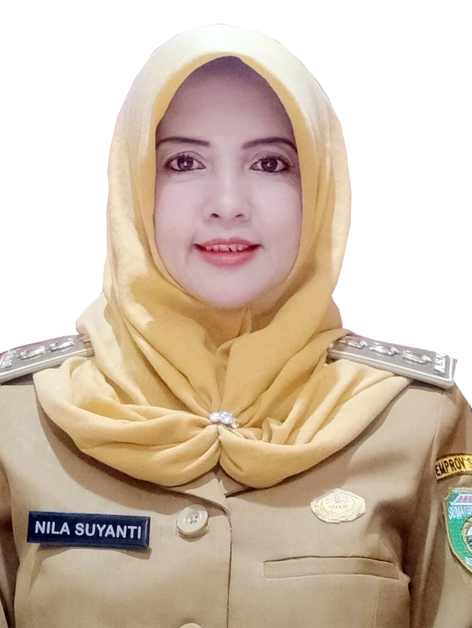 59265786NILA.png